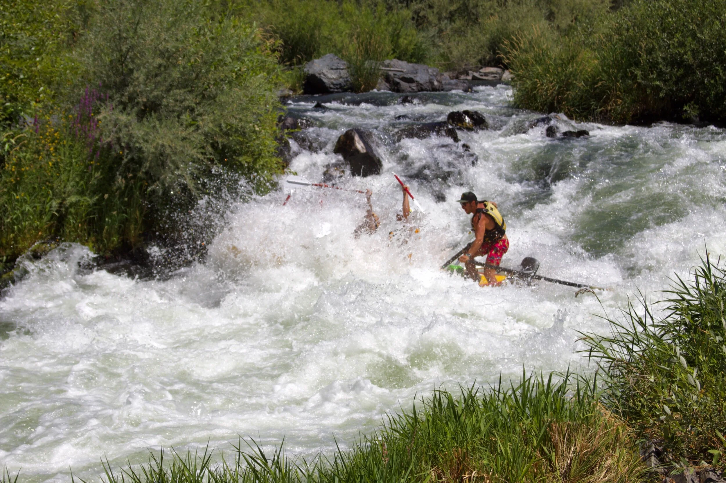 White water rafting Nugget Falls Rogue River